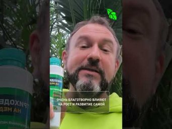 Больше не покупаю химию! Одно средство для всех растений. Топ-1: чем заменить все обработки за сезон
