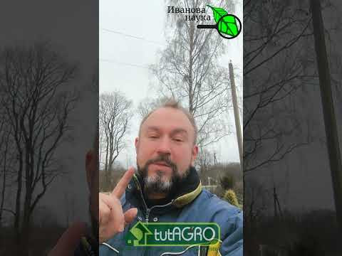 ОДНО СРЕДСТВО ДЛЯ ВСЕГО: как УСТРАНИТЬ НЕСОВМЕСТИМОСТЬ УДОБРЕНИЙ. ОДНО СРЕДСТВО ДЛЯ ВСЕГО: как УСТРАНИТЬ НЕСОВМЕСТИМОСТЬ УДОБРЕНИЙ.