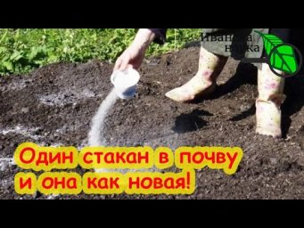 ВСЕГО ОДИН СТАКАН И ПОЧВА ВОССТАНОВЛЕНА! Не удобрение, не зола и не гуматы. Просто чудо-средство!