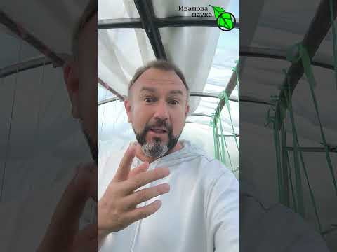 Хватит гадать! Растения-индикаторы лучше специалистов Когда поливать и чем обрабатывать огород? Хватит гадать! Растения-индикаторы лучше специалистов Когда поливать и чем обрабатывать огород?