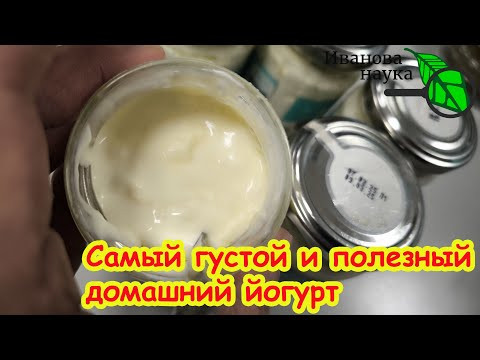ЛОЖКА СТОИТ: В 100 РАЗ ВКУСНЕЕ обычного ЙОГУРТА и В 100 РАЗ ПОЛЕЗНЕЕ! Домашний йогурт на реутери. ЛОЖКА СТОИТ: В 100 РАЗ ВКУСНЕЕ обычного ЙОГУРТА и В 100 РАЗ ПОЛЕЗНЕЕ! Домашний йогурт на реутери.