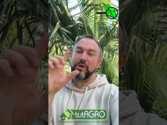 Удержитесь ОТ ЭТОГО СОБЛАЗНА: семена из магазина &mdash; это ловушка! Скрытая правда об этих семенах.