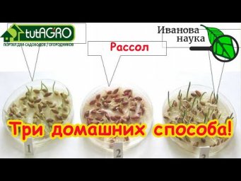 ТРИ САМЫХ БЮДЖЕТНЫХ СРЕДСТВА ДЛЯ ВСЕХ ВАШИХ СЕМЯН - ОБЫЧНЫЕ... Что, если нет баночек и бутылочек?