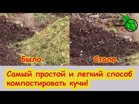 НИ В КОЕМ СЛУЧАЕ НЕ КЛАДИТЕ ЭТО В КОМПОСТ! Как сделать компост безопасным и полезным. НИ В КОЕМ СЛУЧАЕ НЕ КЛАДИТЕ ЭТО В КОМПОСТ! Как сделать компост безопасным и полезным.