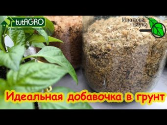 КОМПОСТ ИЗ ЛЮБЫХ ОПИЛОК ПРЯМО В БАНКАХ. Опилки - идеальная добавка в грунт и в лунки.
