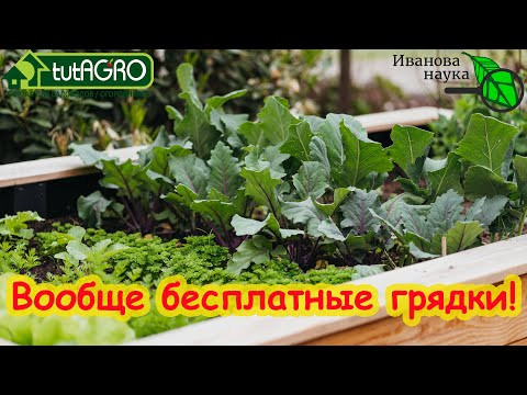 ВООБЩЕ БЕСПЛАТНЫЙ ОГОРОД и САД! И это не фантастика. Один совет, один шаг к бесплатному огороду. ВООБЩЕ БЕСПЛАТНЫЙ ОГОРОД и САД! И это не фантастика. Один совет, один шаг к бесплатному огороду.