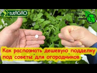 РАСКРЫТ ОБМАН НА КАНАЛЕ САДОВОДСТВО С ЕЛЕНОЙ! Как блогерша обманывает своих зрителей.