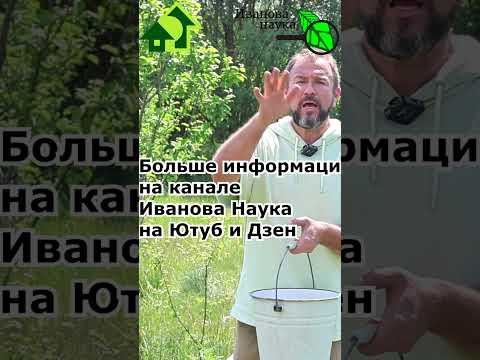 ПОСЫПЬТЕ ЭТИМ ПОРОШКОМ НА КЛУБНИКУ и ОНА БУДЕТ СЛАДКОЙ и НЕ БУДЕТ БОЛЕТЬ! ПОСЫПЬТЕ ЭТИМ ПОРОШКОМ НА КЛУБНИКУ и ОНА БУДЕТ СЛАДКОЙ и НЕ БУДЕТ БОЛЕТЬ!