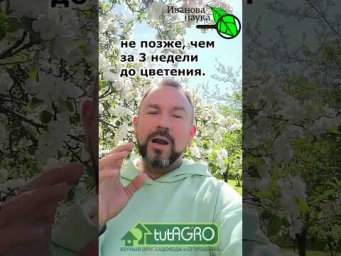 ТЛЯ СГОРАЕТ МОМЕНТАЛЬНО: как избавиться от тли в саду БЕЗ ОПРЫСКИВАНИЯ. Безопасно для людей и пчёл.