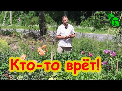 ШОК! Вот как пришла ПОПУЛЯРНОСТЬ! Зрители в опасности! В Telegram сплошной обман!