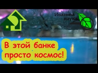 МОМЕНТАЛЬНОЕ оживление и восстановление слабых растений и заморышей этой водой!