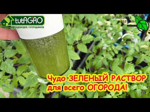 Залейте это под корень! Только ЭТО средство СПАСЕТ весь огород: защита и питание в одном флаконе. Залейте это под корень! Только ЭТО средство СПАСЕТ весь огород: защита и питание в одном флаконе.