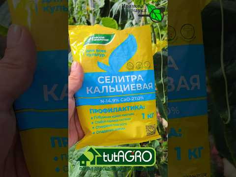 Осторожно 