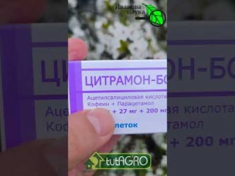 1 КОПЕЕЧНАЯ ТАБЛЕТКА на 100 литров! Секрет как завалить сад урожаем. Самый простой способ.