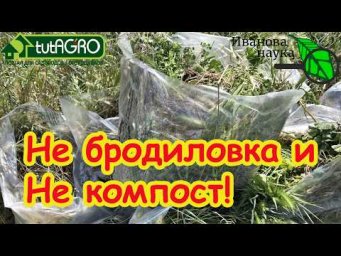 В 100 раз лучше навоза и БЕСПЛАТНО! Лучшая подкормка из травы за неделю: НЕ бродиловка и НЕ компост.