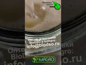 КАК ВЫРАСТИТЬ ЛЮБОЙ БИОПРЕПАРАТ В ДОМАШНИХ УСЛОВИЯХ. Домашние биопрепараты для каждого!