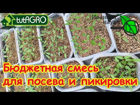 Секретный БЮДЖЕТНЫЙ состав: идеальный грунт для рассады за копейки. Для посева семян и пикировки. Секретный БЮДЖЕТНЫЙ состав: идеальный грунт для рассады за копейки. Для посева семян и пикировки.