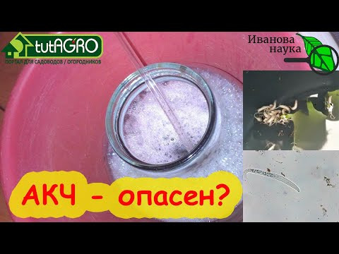Это живет в АКЧ домашнем препарате для восстановления почвы, против болезней и вредителей растений Это живет в АКЧ домашнем препарате для восстановления почвы, против болезней и вредителей растений
