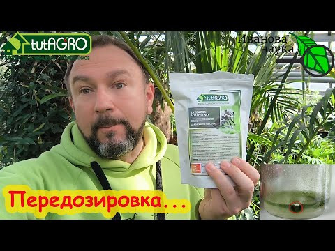 ПЕРЕДОЗИРОВКА. Что будет, если передозировать... Боверию? Ответ в видео.