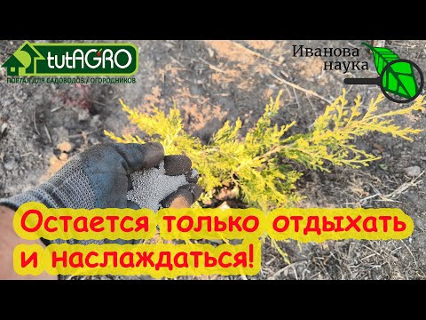 САМЫЕ УСТОЙЧИВЫЕ РАСТЕНИЯ ДЛЯ САДА: посадил и забыл. НЕ САЖАЙТЕ ХВОЙНЫЕ, ПОКА НЕ ПОСМОТРИТЕ НА ЭТО!