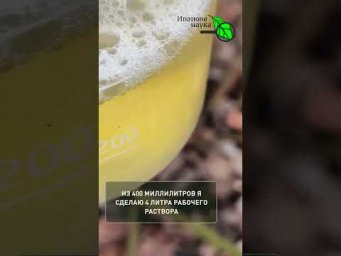 ЗА 0 рублей очистил сад ОТ БОЛЕЗНЕЙ и ВРЕДИТЕЛЕЙ: весенняя искореняющая обработка. Это бесплатно!