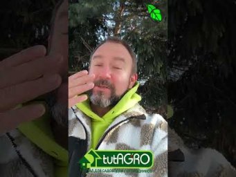 Самоочищение сада и огорода от вредителей. Как избавиться от вредителей на участке без обработок?