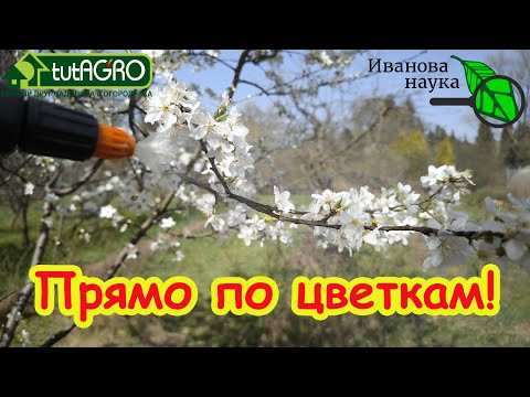 САМАЯ ГЛАВНАЯ ОБРАБОТКА САДА во время цветения. Без этой обработки можете остаться без урожая! САМАЯ ГЛАВНАЯ ОБРАБОТКА САДА во время цветения. Без этой обработки можете остаться без урожая!