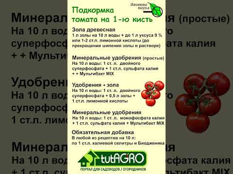 Подкормка томата на первую кисть. Очень важная подкормка томата для завязывания плодов. Подкормка томата на первую кисть. Очень важная подкормка томата для завязывания плодов.