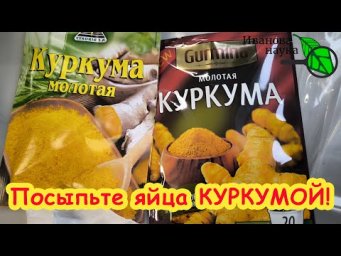 ПОСЫПЬТЕ КУРКУМУ НА ЯЙЦА и ОНИ ПОКРАСНЕЮТ: домашняя проверка куркумы. Фальсификация куркумы.