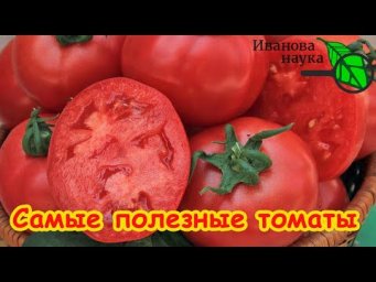 ПОЛЕЗНЫЕ и ВРЕДНЫЕ ТОМАТЫ: в каком виде НЕЛЬЗЯ потреблять томаты, какие сорта томатов самые полезные