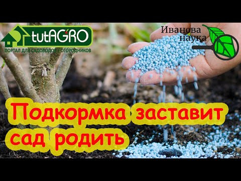 5 ОШИБОК ПРИ ПОДКОРМКЕ САДА. Как подкормить сад, чтобы он ежегодно давал урожай. 5 ОШИБОК ПРИ ПОДКОРМКЕ САДА. Как подкормить сад, чтобы он ежегодно давал урожай.