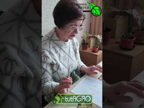 Когда сеять томаты? Золотые правила от агронома с 40-летним стажем. Хватит сеять томат слишком рано! Когда сеять томаты? Золотые правила от агронома с 40-летним стажем. Хватит сеять томат слишком рано!