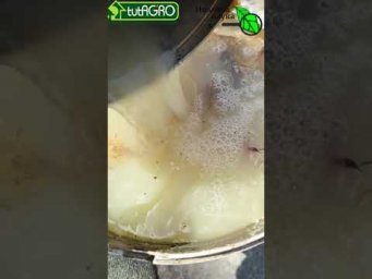 Супер подкормка для огурца. Огурцы прут от нее как сумасшедшие.