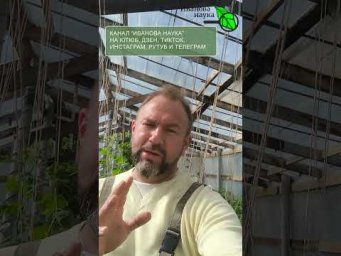 ПАСЫНКИ НА ЗЕМЛЮ: БЛАГО ИЛИ ВРЕД? 