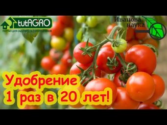 ЗАБУДЬТЕ О ПОДКОРМКАХ! Вношу это удобрение раз в 20 лет и не парюсь!