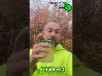 Никогда не выливайте рассол от капусты. 6 способов применения рассола дома и в огороде.