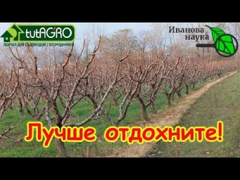 ПУСТЫЕ ХЛОПОТЫ: лучше отдохните. Эти работы в ноябре не принесут пользы.