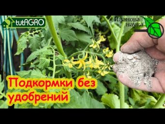 ВОТ ГДЕ Я БЕРУ ПОДКОРМКИ БЕСПЛАТНО! Обязательно кормлю растения микроэлементами.