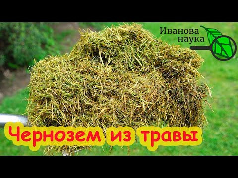 ТРАВА - ОСНОВА ПЛОДОРОДИЯ. Делаю травяной гумус чернозем осенью и урожай прёт как на дрожжах! ТРАВА - ОСНОВА ПЛОДОРОДИЯ. Делаю травяной гумус чернозем осенью и урожай прёт как на дрожжах!