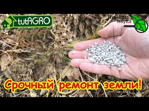 БРОСАЮ ГОРСТЬ НА СОТКУ И ЗЕМЛЯ КАК НОВАЯ! Запомните этот лучший способ обновления земли! БРОСАЮ ГОРСТЬ НА СОТКУ И ЗЕМЛЯ КАК НОВАЯ! Запомните этот лучший способ обновления земли!