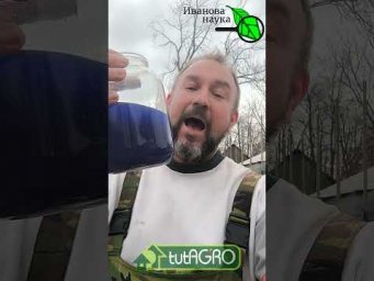 В 3 РАЗА меньше КУПОРОСА, в 10 РАЗ больше ПОЛЬЗЫ! Супер рецепт для обработки клубники и сада весной