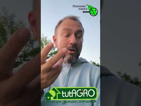 Урожай исчезнет за ночь! Срочно сделайте это от слизней Они сожрут ВСЁ! Урожай исчезнет за ночь! Срочно сделайте это от слизней Они сожрут ВСЁ!
