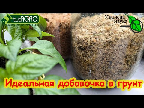 КОМПОСТ ИЗ ЛЮБЫХ ОПИЛОК ПРЯМО В БАНКАХ. Опилки - идеальная добавка в грунт и в лунки.