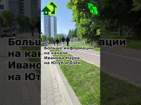 Посмотрите на этих чудаков! Что с ними не так?