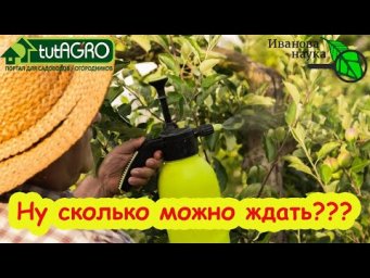 СЛИШКОМ ДОЛГО ЖДАТЬ?! Срок ожидания после обработки пестицидами: что нужно знать!