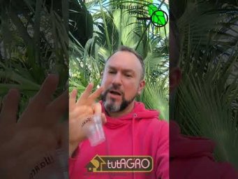 ЛУЧШИЕ СТАКАНЫ ДЛЯ РАССАДЫ: какие выбрать? Правильный объем стакана &mdash; залог крепкой рассады.