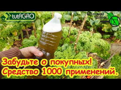 Выжигает ФИТОФТОРУ за 1 час, белокрылку - за 1 день! Супер средство для огорода и сада КЛОНОСТАХИС. Выжигает ФИТОФТОРУ за 1 час, белокрылку - за 1 день! Супер средство для огорода и сада КЛОНОСТАХИС.