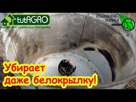 НЕ ИСПОЛЬЗУЙТЕ СЕРНУЮ ШАШКУ В ТЕПЛИЦЕ, если не знаете этого! Серная и табачная шашки в теплице. НЕ ИСПОЛЬЗУЙТЕ СЕРНУЮ ШАШКУ В ТЕПЛИЦЕ, если не знаете этого! Серная и табачная шашки в теплице.