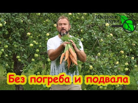 ХРАНЕНИЕ МОРКОВИ В КВАРТИРЕ. НЕ ДРЯБНЕТ, НЕ СОХНЕТ, НЕ ГНИЕТ. Морковь до весны будет сочной. ХРАНЕНИЕ МОРКОВИ В КВАРТИРЕ. НЕ ДРЯБНЕТ, НЕ СОХНЕТ, НЕ ГНИЕТ. Морковь до весны будет сочной.