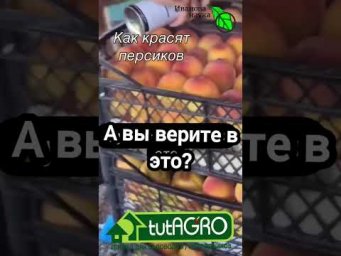 ВЫ ВЕРИТЕ В ЭТО? Разве такое может быть? Интересно, что они говорят.